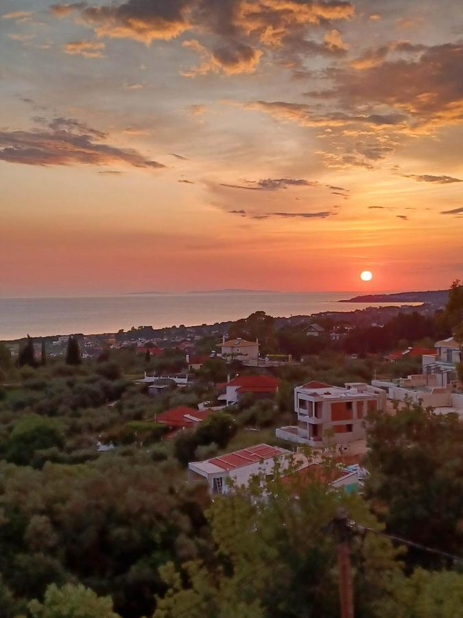 Il Tramonto Apartments 2 Kanali  Extérieur photo